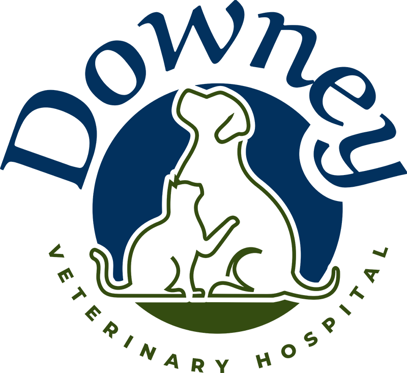 Downey Veterinary Hospital logo