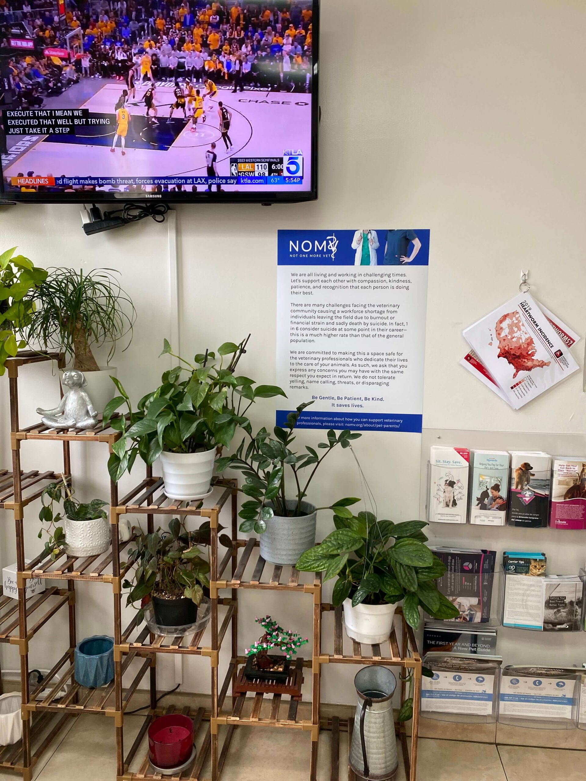 A tv and plants on shelves